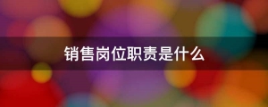 销售经理的岗位职责是什么(销售总经理的职责是什么)