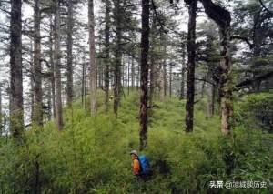 四川瓦屋山的迷魂凼（四川瓦屋山迷魂凼）(3)