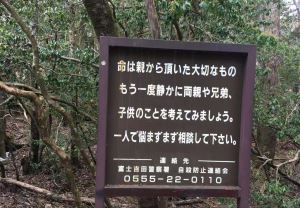 世界上最让人恐惧的森林：四川迷魂凼、曾有500人自杀的日本树海