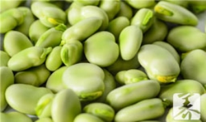 子宫肌瘤能吃蚕豆吗