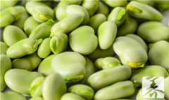 子宫肌瘤能吃蚕豆是真的吗