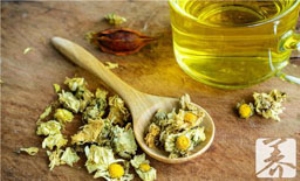 菊苣能治痛风吗