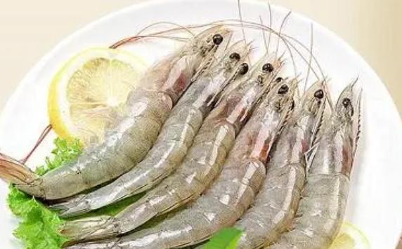 白虾和青虾的营养区别是什么?太湖白虾属于海鲜吗