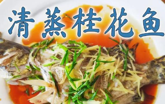 为什么桂花鱼要叫桂花?桂花鱼有牙吗