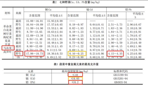 维生素C 16倍于西梅、蛋白质7.7倍于冬瓜：这种“长寿菜”现在吃正好