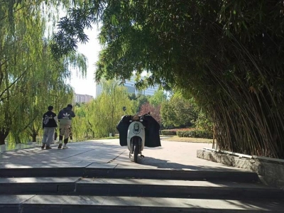 广州好玩景点一日游,广州有哪里好玩的旅游景点一日游景点