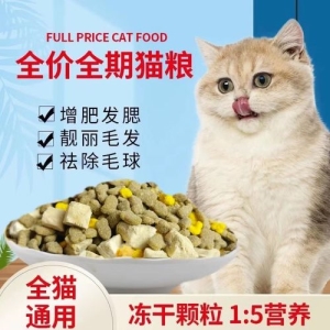 猫咪除了吃猫粮，还可以吃这5种肉，处于良好的状态又营养 猫咪还可以吃什么肉