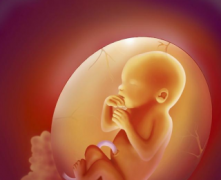 丈夫对胎儿的影响有哪些男性哪些习惯不利于