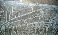 未解之谜：鱼类有哪些动物海鱼名称