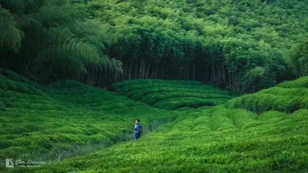 左权旅游景点左权县风景名胜区