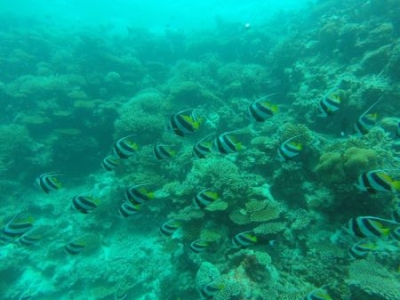 深圳海边公园游玩攻略一日游