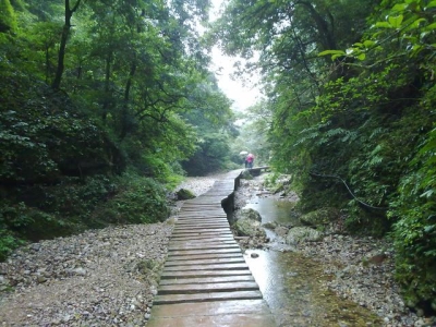 去新疆旅游，自驾和租车哪个更好