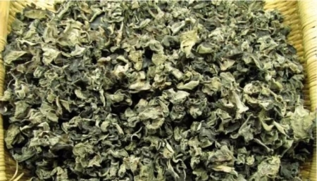 关于高血压的10个问题