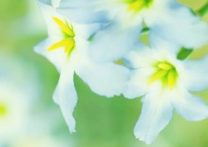 太空铝花洒和全铜花洒哪个好？花洒和水龙头的材质是太空铝的怎么样？和铜的比较起来是好还是不好？谢谢了