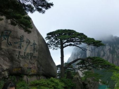 乐山市乐山大佛景区，乐山大佛最佳游览路线