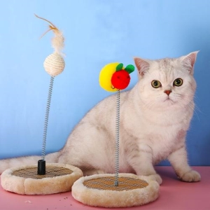 为什么都愿意在家给我猫咪洗澡？自己养猫后，仿佛知道了答案