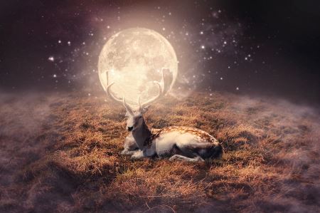 光速是第几宇宙速度接近光速就能飞离宇宙吗？