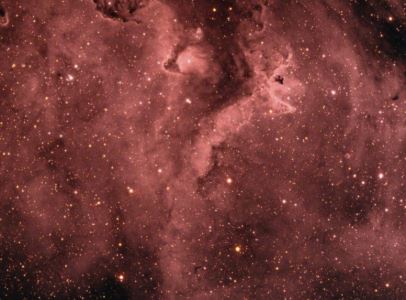 霍金预言外星生物样子