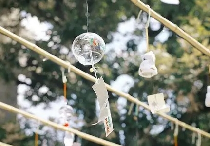 京东自营肯定是正品吗？京东自营是否正品