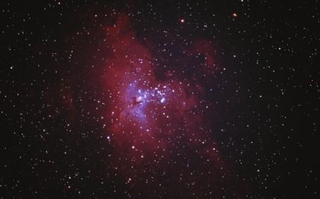 太空物种防御：智库呼吁保护地球免受太空虫子的侵害