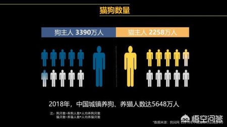 猫咪体温多少度算发烧？不要再给猫咪稀里糊涂测体温啦