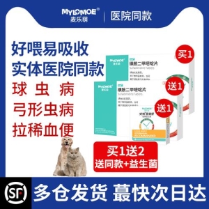 为什么有些猫咪这么粘人呢？猫咪粘人的三大影响因素！