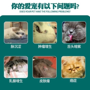 得了猫藓又不想吃药怎么办？4套外用药方案介绍