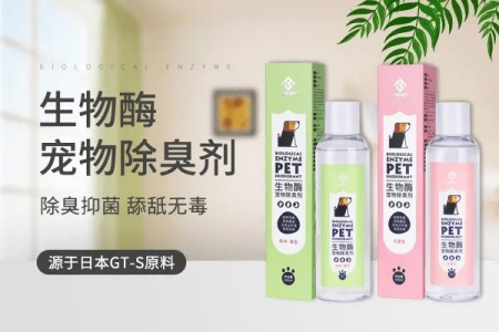 猫的牙掉了有何影响？还能吃饭吗？