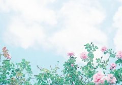 三文鱼到底能不能生吃哪些食材不能生吃