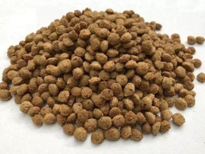 除了猫粮,猫咪还可以吃这6种食物,廉价又营养,一般家庭都有