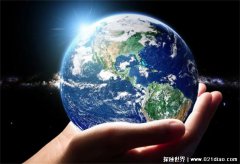 10种已灭绝的最大鲸鱼？盘点世界上发现的最大十种鲸鱼-大盘站