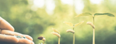 苹果手表适合什么人群苹果手表用处大吗？