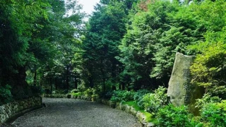 海花岛一日游说说去海花岛玩发朋友圈