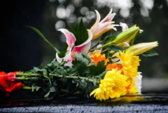 心脏疾病有哪些种类6种常见的心脏疾病类型