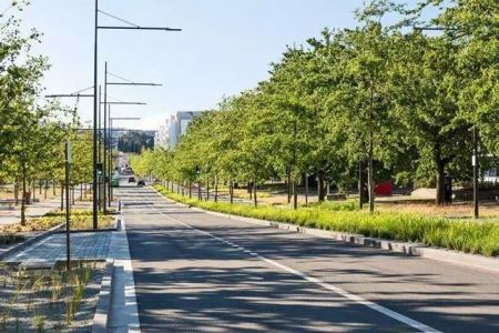 四川宜宾一日游最佳景点不容错过的打卡胜地