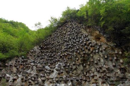 未解之谜：最大咸水湖中国 中国最大的淡水湖