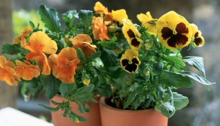 电脑总是嗡嗡响怎么办？