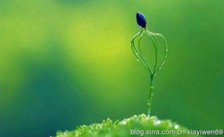 怎么预防口腔溃疡？形成口腔溃疡的原因是什么