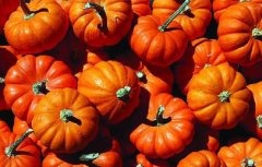 冬天煲什么汤养胃冬天养胃汤