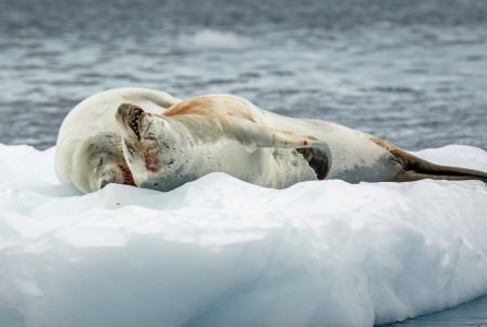 贵阳半日游必去景点哪些地方