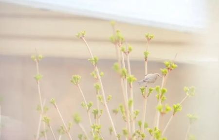 冰箱冷藏室设定28度是几档屋里温度在28摄氏度冰箱冬天开几档合适