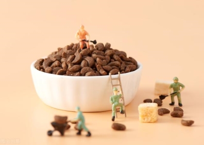 阳台种菜有猫狗祸害？不用关住小猫小狗，试试这5招