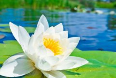 10分钟冰箱快速除味快速去除冰箱异味