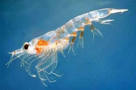 江西三清山旅游攻略自驾游路线