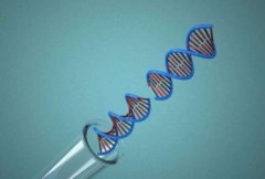 福岛50死士，用生命构筑最后一道防线悲壮