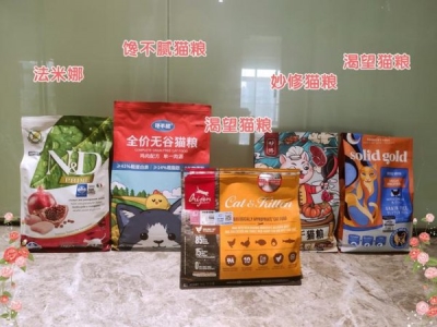 猫一窝可以生几只小猫？宠物猫一窝能生几只