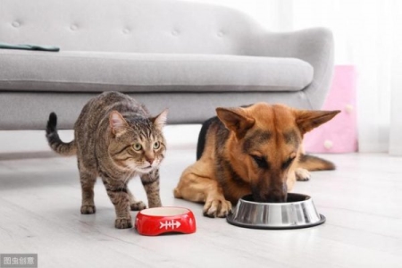 猫低血糖综合征有哪些症状？该如何医治和预防？猫低血糖综合征有哪些症状？该如何医治和预防病毒