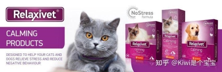 如何让猫咪的毛发更加光亮？如何让猫咪的毛发更加光亮呢？