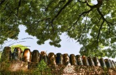增城正果畲族村一日游正果旅游景点增城正