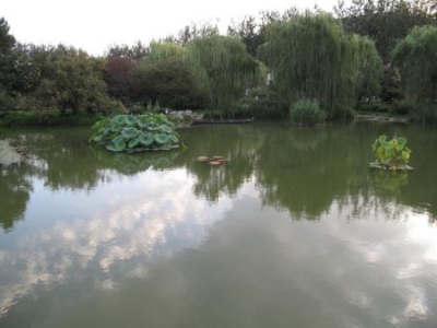 大连北京旅游团报价大连旅行团报价